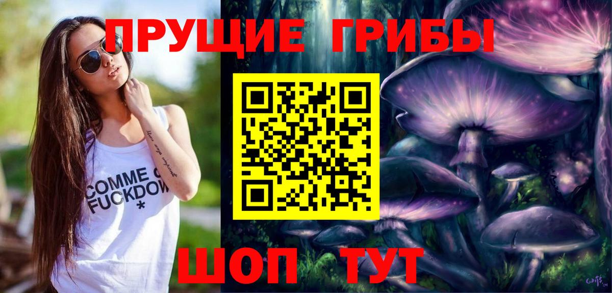 Псилоцибиновые грибы MAGIC MUSHROOMS  Вход с VPN  Боровичи 